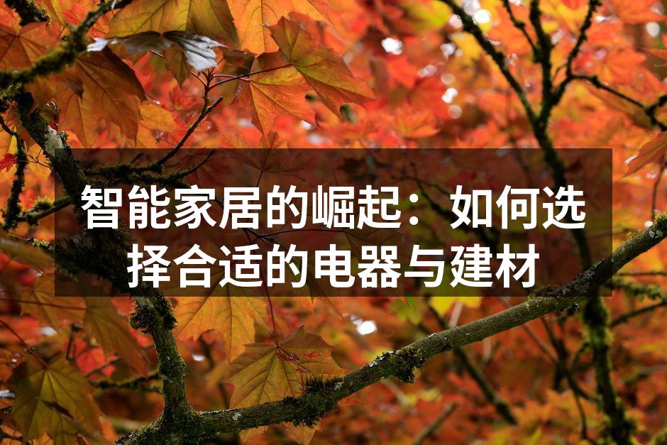 智能家居的崛起：如何选择合适的电器与建材